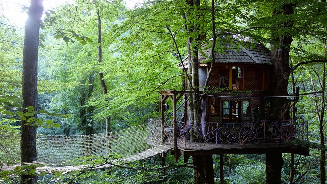 Do treehouses hurt trees? More REF