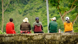 Living In Vietnam | Daily Life in Danang