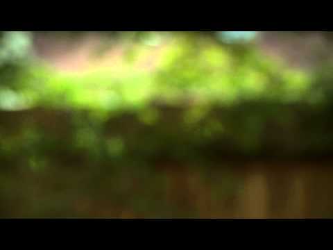 Howard Davidson Arlington MA