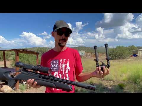 The GAMO ARROW PCP - The Ultimate Budget Sniper
