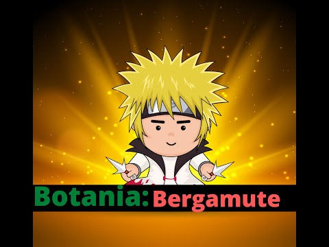 Botania: Bergamute