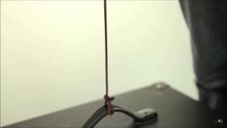 Video thumbnail for Evidence Audio SIS/Monorail Demo by GuitarCube Distribution by Evidence Audio