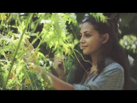 Dialog Dini Hari - Tentang Rumahku (Official Music Video)