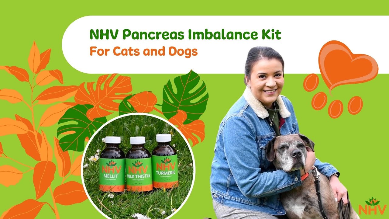 NHV Pancreas Imbalance Kit For Cats and Dogs