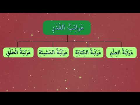 فيديو تعليمي