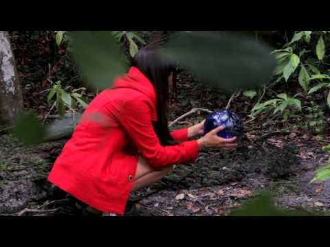 Beach Day- Beach Day [Official Video]