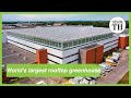 World S Largest Rooftop Greenhouse Opens In Montreal