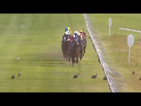 ONE WORLD - 2020 Sun Met Gr1