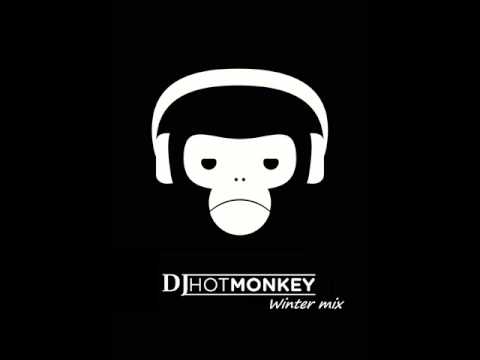 Dj Hot Monkey - HMM Winter 2013 mini electro set
