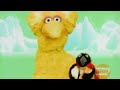 Elmo S World Quizzes Penguins