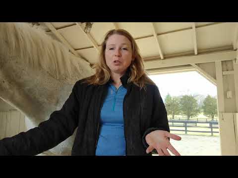 YouTube video about: How to help my horse shed faster?