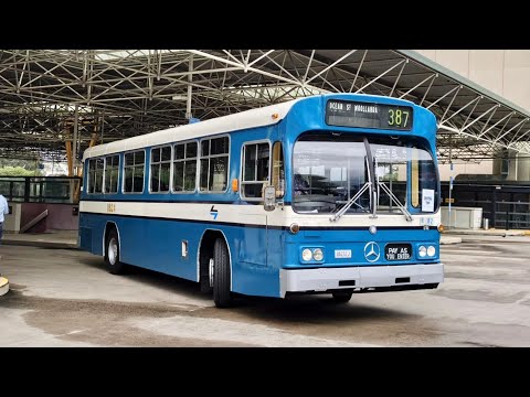 The Eastern Suburbs MK 1 Mercedes Benz O305 Bus Tour - 1824