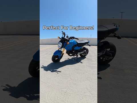 Top 5 Reasons The Honda Grom Is A Great Beginner Bike #hondagrom #beginnerrider