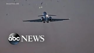 Bird strike forces emergency landing of US Air For