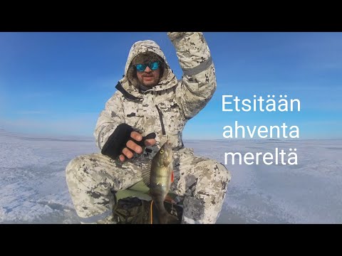 Mereltä etsimässä Ahventa