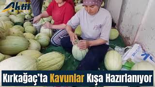 Kavunlar kışa hazırlanıyor!
