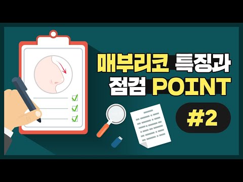 [매부리코 #2] 매부리코 성형 전/후 사례