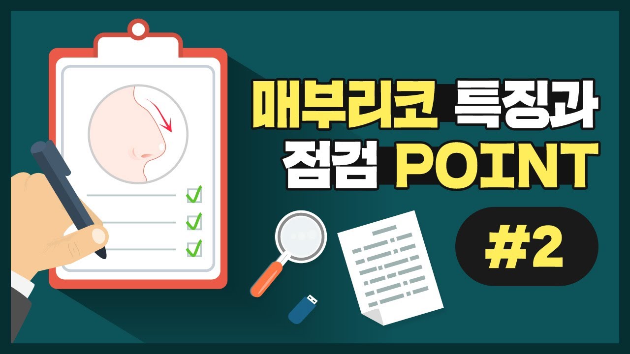 [매부리코 #2] 매부리코 성형 전/후 사례