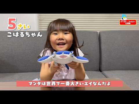 【ぜんぶ英語】小さい頃からディズニー英語システム(DWE)をやっているとこうなる！