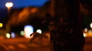 David Guetta if we ever feat. Makeba.flv