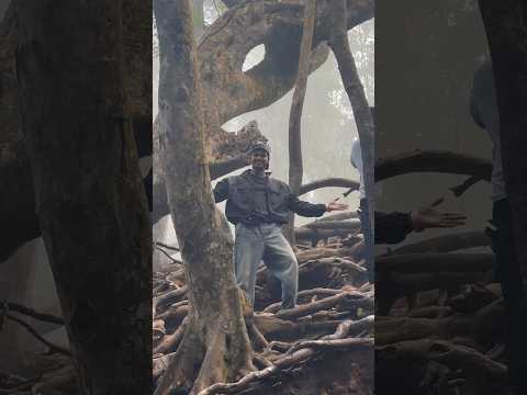 Last day 🕺 Guna cave | Minivlog 612 | #mhamaldas #trending #tamil #gunacave #kodaikanal