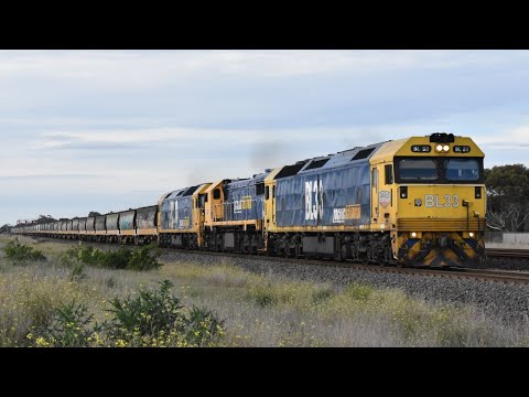 4CM6 Pacific National Grain Train 19/06/25