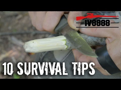 Top 10 Survival Tips