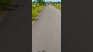 Download lagu suasana jalan pedesaan #shorts mp3