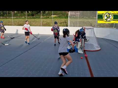 Tréning hokejbal s dievčatami žiakov klubu ŽHK Šarišanka Prešov 2000 15.6.2023 Hockey Girl