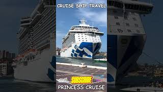 PRINCESS CRUISES#viral#ship#cruise#travel#youtubeshorts#shortsfeed#aida#trending#viralvideo#shorts