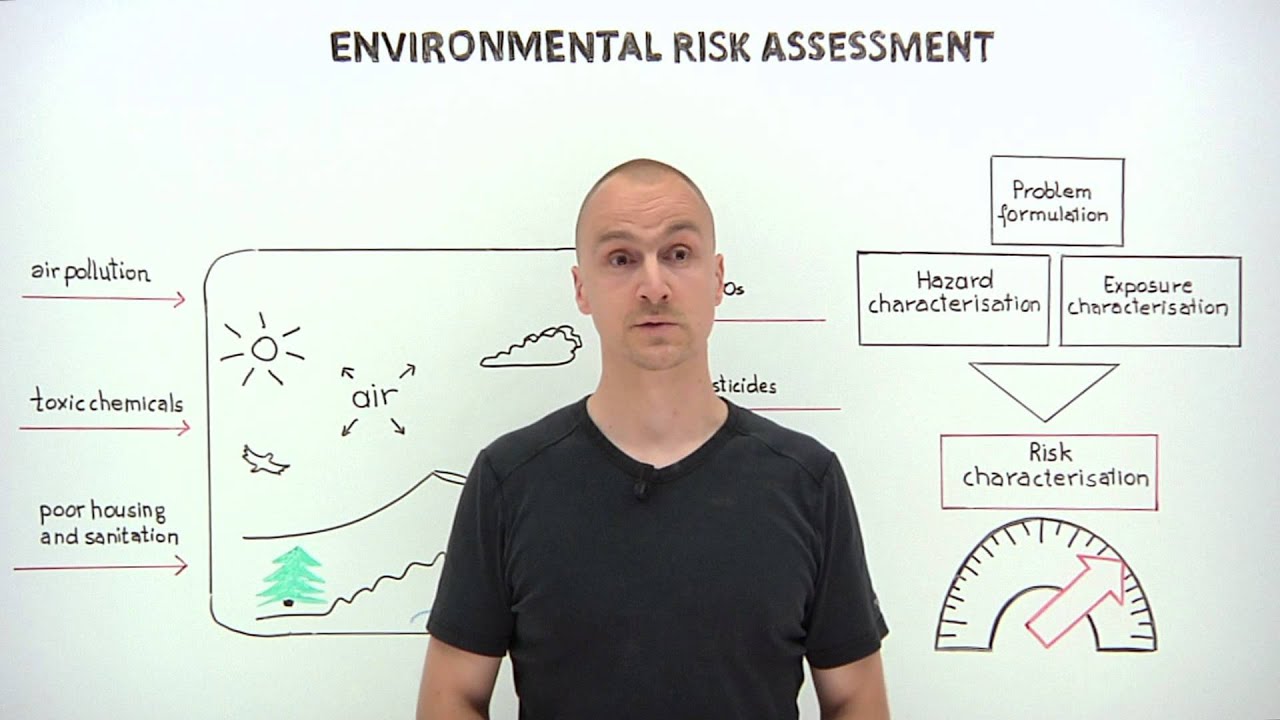 What is environmental risk assessment?