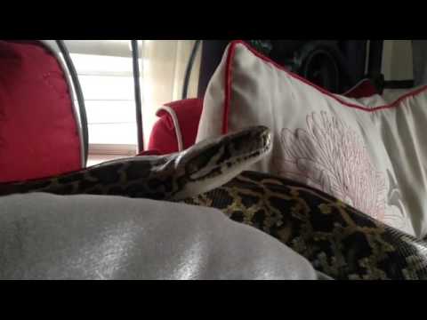 How Do I Get Outa Here?