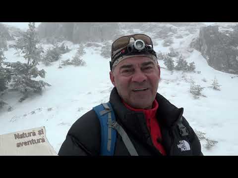 Natura si aventura: capre negre in Ceahlau