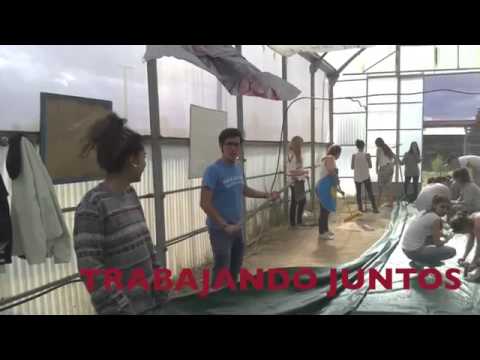 Captura Youtube