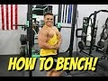 How To Bench Press | CHEST GAINS !