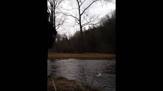 preview picture of video 'trophy trout lodge va'
