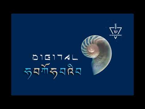 DIGITAL SAMSARA -"Observing Phenomena" (full album)