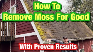 How to Remove Severe Moss from Your Roof and How to Keep it Off For Good!