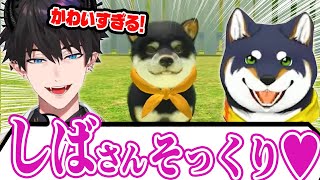 しばちゃんそっくりの柴犬をなでまくり愛でまくる、もふもふ大好きなレン【レン・ゾット/黒井しば 】NIJISANJIEN/にじさんじ切り抜き/日本語字幕