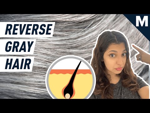 , title : 'How to Reverse Gray Hair, According to Scientists | Mashable'