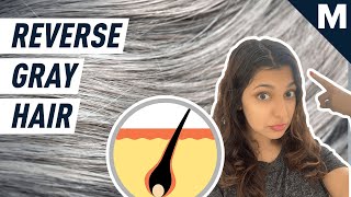 How to Reverse Gray Hair, According to Scientists | Mashable