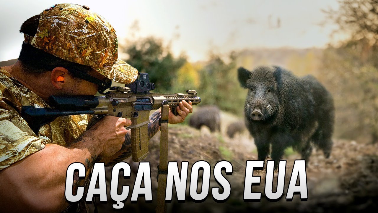 Caçada de JAVALI na Flórida! Como é a Caça nos Estados Unidos?