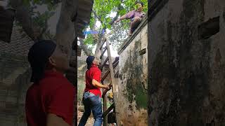 Download lagu teman luknut# komedi lucu#viral# mp3