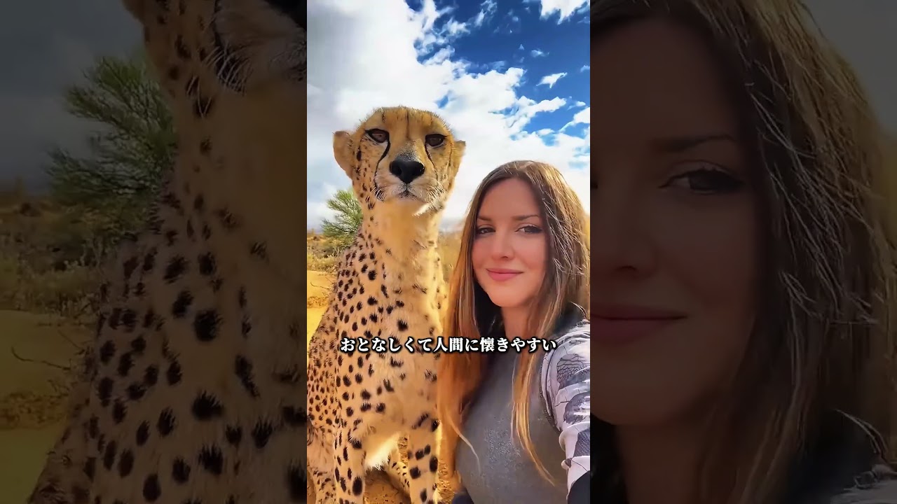 毎日かわいい動物をひとつ知ろう