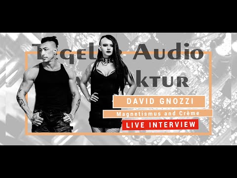 Artist Interview with Mix Bus TV ( David Gnozzi )