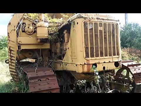 Fatelep Elhagyva #2-Abandoned woodyard #2