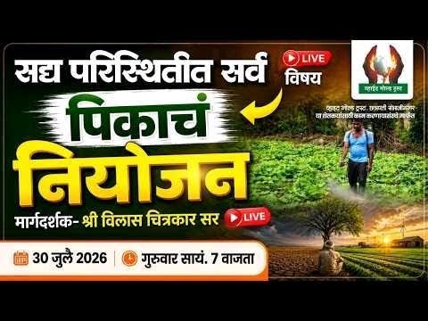 सद्य परिस्थितीत सर्व पिकाचं नियोजन