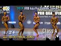 Men's Bodybuilding (健美A組 65kg以下) IFBB Asia Pro Qualifier Taiwan 2019 [4K]
