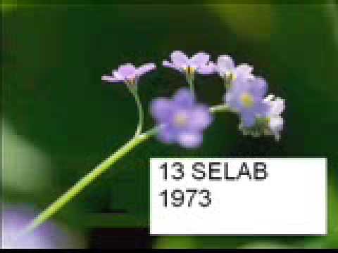 13 SELAB 1973_chunk_6