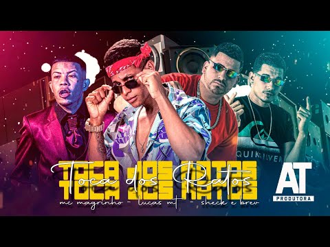 SHECK E BREV, LUCAS MT E MC MAGRINHO - TOCA DOS RATOS - REMIX BREGA FUNK